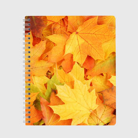 Тетрадь с принтом Листья , 100% бумага | 48 листов, плотность листов — 60 г/м2, плотность картонной обложки — 250 г/м2. Листы скреплены сбоку удобной пружинной спиралью. Уголки страниц и обложки скругленные. Цвет линий — светло-серый
 | листья | осень