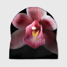 Шапка 3D с принтом Орхидея , 100% полиэстер | универсальный размер, печать по всей поверхности изделия | 