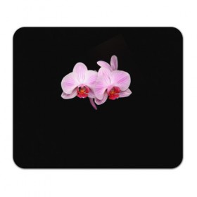 Коврик прямоугольный с принтом Орхидея , натуральный каучук | размер 230 х 185 мм; запечатка лицевой стороны | Тематика изображения на принте: 