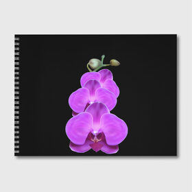 Альбом для рисования с принтом Орхидея , 100% бумага
 | матовая бумага, плотность 200 мг. | орхидея | флора | цветок