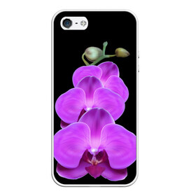 Чехол для iPhone 5/5S матовый с принтом Орхидея , Силикон | Область печати: задняя сторона чехла, без боковых панелей | орхидея | флора | цветок