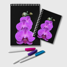 Блокнот с принтом Орхидея , 100% бумага | 48 листов, плотность листов — 60 г/м2, плотность картонной обложки — 250 г/м2. Листы скреплены удобной пружинной спиралью. Цвет линий — светло-серый
 | орхидея | флора | цветок