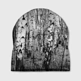 Шапка 3D с принтом Березовая роща , 100% полиэстер | универсальный размер, печать по всей поверхности изделия | birch | birch grove | black   white | forest | photo | trees | березовая | березы | деревья | лес | роща | фото | черно   белое