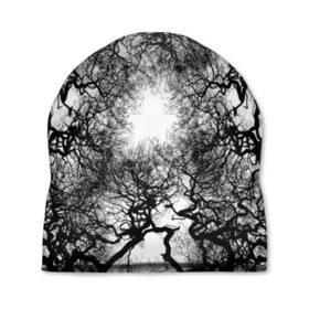 Шапка 3D с принтом Кудрявые деревья , 100% полиэстер | универсальный размер, печать по всей поверхности изделия | black   white | bright | forest | photo | sun | tree | trees | деревья | кудрявые | лес | солнце | фото | черно   белое | яркое