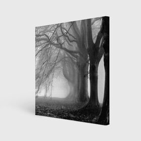 Холст квадратный с принтом Туман в лесу , 100% ПВХ |  | black   white | fog | forest | morning | photo | silhouette | trees | деревья | лес | силуэт | туман | утро | фото | черно   белое