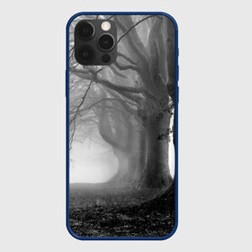 Чехол для iPhone 12 Pro с принтом Туман в лесу , силикон | область печати: задняя сторона чехла, без боковых панелей | black   white | fog | forest | morning | photo | silhouette | trees | деревья | лес | силуэт | туман | утро | фото | черно   белое