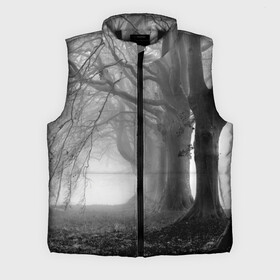 Мужской жилет утепленный 3D с принтом Туман в лесу ,  |  | Тематика изображения на принте: black   white | fog | forest | morning | photo | silhouette | trees | деревья | лес | силуэт | туман | утро | фото | черно   белое