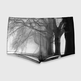 Мужские купальные плавки 3D с принтом Туман в лесу , Полиэстер 85%, Спандекс 15% |  | Тематика изображения на принте: black   white | fog | forest | morning | photo | silhouette | trees | деревья | лес | силуэт | туман | утро | фото | черно   белое