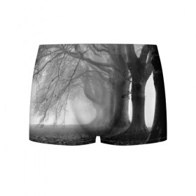 Мужские трусы 3D с принтом Туман в лесу , 50% хлопок, 50% полиэстер | классическая посадка, на поясе мягкая тканевая резинка | Тематика изображения на принте: black   white | fog | forest | morning | photo | silhouette | trees | деревья | лес | силуэт | туман | утро | фото | черно   белое