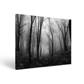 Холст прямоугольный с принтом Туман в лесу , 100% ПВХ |  | black   white | fog | forest | morning | photo | silhouette | trees | деревья | лес | силуэт | туман | утро | фото | черно   белое