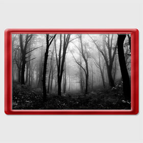 Магнит 45*70 с принтом Туман в лесу , Пластик | Размер: 78*52 мм; Размер печати: 70*45 | Тематика изображения на принте: black   white | fog | forest | morning | photo | silhouette | trees | деревья | лес | силуэт | туман | утро | фото | черно   белое