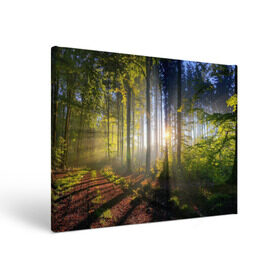 Холст прямоугольный с принтом Утро в лесу , 100% ПВХ |  | Тематика изображения на принте: bright | fog | forest | morning | sun | tree | trees | дерево | деревья | лес | солнце | туман | утро | яркое