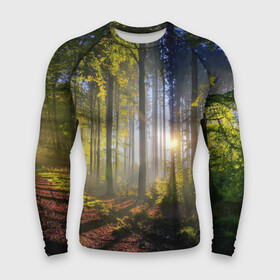 Мужской рашгард 3D с принтом Утро в лесу ,  |  | Тематика изображения на принте: bright | fog | forest | morning | sun | tree | trees | дерево | деревья | лес | солнце | туман | утро | яркое