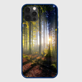 Чехол для iPhone 12 Pro с принтом Утро в лесу , силикон | область печати: задняя сторона чехла, без боковых панелей | bright | fog | forest | morning | sun | tree | trees | дерево | деревья | лес | солнце | туман | утро | яркое