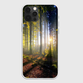 Чехол для iPhone 12 Pro Max с принтом Утро в лесу , Силикон |  | bright | fog | forest | morning | sun | tree | trees | дерево | деревья | лес | солнце | туман | утро | яркое