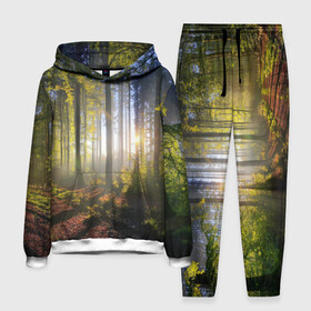 Мужской костюм 3D (с толстовкой) с принтом Утро в лесу ,  |  | Тематика изображения на принте: bright | fog | forest | morning | sun | tree | trees | дерево | деревья | лес | солнце | туман | утро | яркое
