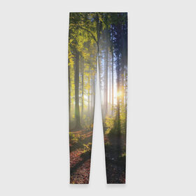 Леггинсы 3D с принтом Утро в лесу , 80% полиэстер, 20% эластан | Эластичный пояс, зауженные к низу, низкая посадка | bright | fog | forest | morning | sun | tree | trees | дерево | деревья | лес | солнце | туман | утро | яркое