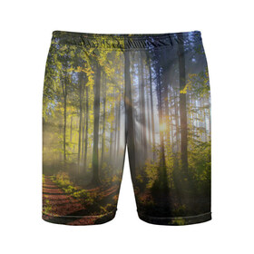 Мужские шорты 3D спортивные с принтом Утро в лесу ,  |  | Тематика изображения на принте: bright | fog | forest | morning | sun | tree | trees | дерево | деревья | лес | солнце | туман | утро | яркое