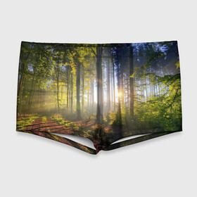 Мужские купальные плавки 3D с принтом Утро в лесу , Полиэстер 85%, Спандекс 15% |  | Тематика изображения на принте: bright | fog | forest | morning | sun | tree | trees | дерево | деревья | лес | солнце | туман | утро | яркое