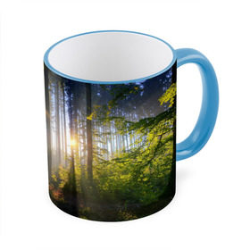 Кружка 3D с принтом Утро в лесу , керамика | ёмкость 330 мл | Тематика изображения на принте: bright | fog | forest | morning | sun | tree | trees | дерево | деревья | лес | солнце | туман | утро | яркое
