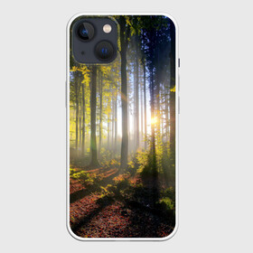 Чехол для iPhone 13 с принтом Утро в лесу ,  |  | bright | fog | forest | morning | sun | tree | trees | дерево | деревья | лес | солнце | туман | утро | яркое
