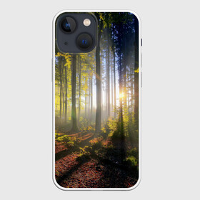 Чехол для iPhone 13 mini с принтом Утро в лесу ,  |  | bright | fog | forest | morning | sun | tree | trees | дерево | деревья | лес | солнце | туман | утро | яркое