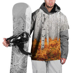 Накидка на куртку 3D с принтом Березовая роща , 100% полиэстер |  | birch | birch grove | ferns | forest | trees | березовая | березы | деревья | лес | папоротник | роща
