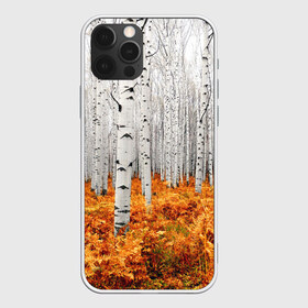 Чехол для iPhone 12 Pro Max с принтом Березовая роща , Силикон |  | birch | birch grove | ferns | forest | trees | березовая | березы | деревья | лес | папоротник | роща