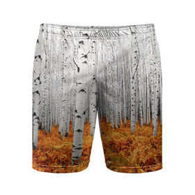 Мужские шорты 3D спортивные с принтом Березовая роща ,  |  | birch | birch grove | ferns | forest | trees | березовая | березы | деревья | лес | папоротник | роща