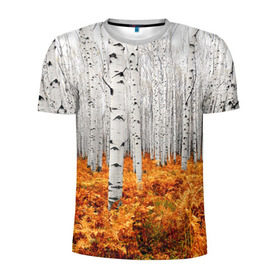 Мужская футболка 3D спортивная с принтом Березовая роща , 100% полиэстер с улучшенными характеристиками | приталенный силуэт, круглая горловина, широкие плечи, сужается к линии бедра | birch | birch grove | ferns | forest | trees | березовая | березы | деревья | лес | папоротник | роща