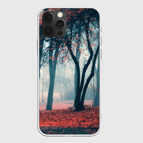Чехол для iPhone 12 Pro с принтом Осень , силикон | область печати: задняя сторона чехла, без боковых панелей | autumn | bright | colors | forest | paint | trees | деревья | краски | лес | осень | цвета | яркие