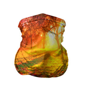 Бандана-труба 3D с принтом Осень , 100% полиэстер, ткань с особыми свойствами — Activecool | плотность 150‒180 г/м2; хорошо тянется, но сохраняет форму | autumn | bright | colors | forest | trees | деревья | краски | лес | лучи | осень | солнце | цвета | яркие