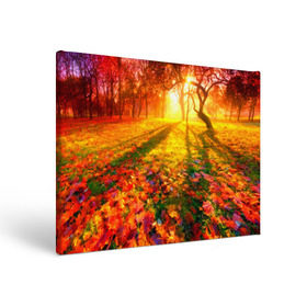 Холст прямоугольный с принтом Осень , 100% ПВХ |  | autumn | bright | colors | forest | trees | деревья | краски | лес | лучи | осень | солнце | цвета | яркие