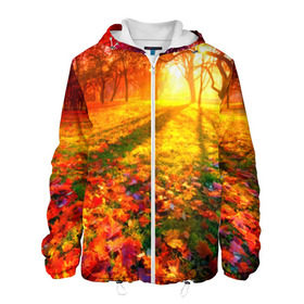 Мужская куртка 3D с принтом Осень , ткань верха — 100% полиэстер, подклад — флис | прямой крой, подол и капюшон оформлены резинкой с фиксаторами, два кармана без застежек по бокам, один большой потайной карман на груди. Карман на груди застегивается на липучку | Тематика изображения на принте: autumn | bright | colors | forest | trees | деревья | краски | лес | лучи | осень | солнце | цвета | яркие