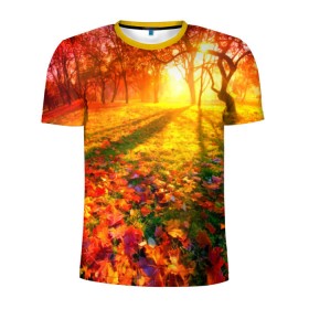 Мужская футболка 3D спортивная с принтом Осень , 100% полиэстер с улучшенными характеристиками | приталенный силуэт, круглая горловина, широкие плечи, сужается к линии бедра | autumn | bright | colors | forest | trees | деревья | краски | лес | лучи | осень | солнце | цвета | яркие