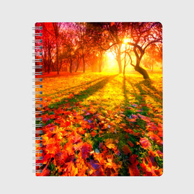 Тетрадь с принтом Осень , 100% бумага | 48 листов, плотность листов — 60 г/м2, плотность картонной обложки — 250 г/м2. Листы скреплены сбоку удобной пружинной спиралью. Уголки страниц и обложки скругленные. Цвет линий — светло-серый
 | autumn | bright | colors | forest | trees | деревья | краски | лес | лучи | осень | солнце | цвета | яркие