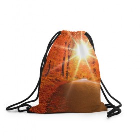 Рюкзак-мешок 3D с принтом Осеннее солнце , 100% полиэстер | плотность ткани — 200 г/м2, размер — 35 х 45 см; лямки — толстые шнурки, застежка на шнуровке, без карманов и подкладки | autumn | bright | colors | forest | trees | деревья | дорога | краски | лес | лучи | осень | солнце | цвета | яркие