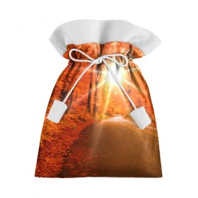 Подарочный 3D мешок с принтом Осеннее солнце , 100% полиэстер | Размер: 29*39 см | autumn | bright | colors | forest | trees | деревья | дорога | краски | лес | лучи | осень | солнце | цвета | яркие