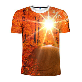 Мужская футболка 3D спортивная с принтом Осеннее солнце , 100% полиэстер с улучшенными характеристиками | приталенный силуэт, круглая горловина, широкие плечи, сужается к линии бедра | autumn | bright | colors | forest | trees | деревья | дорога | краски | лес | лучи | осень | солнце | цвета | яркие