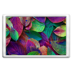 Магнит 45*70 с принтом Осень , Пластик | Размер: 78*52 мм; Размер печати: 70*45 | autumn | bright | color | forest | leaves | paint | trees | деревья | краски | лес | листья | осень | цвета | яркие