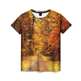 Женская футболка 3D с принтом Осень , 100% полиэфир ( синтетическое хлопкоподобное полотно) | прямой крой, круглый вырез горловины, длина до линии бедер | autumn | bright | colors | forest | paint | trees | деревья | краски | лес | осень | цвета | яркие