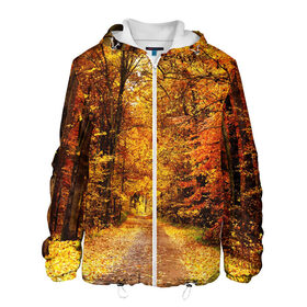 Мужская куртка 3D с принтом Осень , ткань верха — 100% полиэстер, подклад — флис | прямой крой, подол и капюшон оформлены резинкой с фиксаторами, два кармана без застежек по бокам, один большой потайной карман на груди. Карман на груди застегивается на липучку | Тематика изображения на принте: autumn | bright | colors | forest | paint | trees | деревья | краски | лес | осень | цвета | яркие