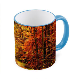 Кружка 3D с принтом Осень , керамика | ёмкость 330 мл | autumn | bright | colors | forest | paint | trees | деревья | краски | лес | осень | цвета | яркие