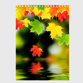 Скетчбук с принтом Осень , 100% бумага
 | 48 листов, плотность листов — 100 г/м2, плотность картонной обложки — 250 г/м2. Листы скреплены сверху удобной пружинной спиралью | Тематика изображения на принте: autumn | bright | color | forest | leaves | maple | paint | reflection | river | trees | деревья | клён | краски | лес | листья | осень | отражение | река | цвета | яркие