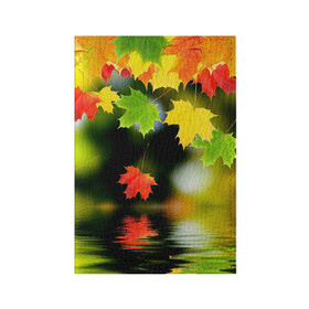 Обложка для паспорта матовая кожа с принтом Осень , натуральная матовая кожа | размер 19,3 х 13,7 см; прозрачные пластиковые крепления | Тематика изображения на принте: autumn | bright | color | forest | leaves | maple | paint | reflection | river | trees | деревья | клён | краски | лес | листья | осень | отражение | река | цвета | яркие