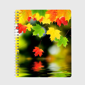 Тетрадь с принтом Осень , 100% бумага | 48 листов, плотность листов — 60 г/м2, плотность картонной обложки — 250 г/м2. Листы скреплены сбоку удобной пружинной спиралью. Уголки страниц и обложки скругленные. Цвет линий — светло-серый
 | Тематика изображения на принте: autumn | bright | color | forest | leaves | maple | paint | reflection | river | trees | деревья | клён | краски | лес | листья | осень | отражение | река | цвета | яркие