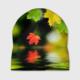 Шапка 3D с принтом Осень , 100% полиэстер | универсальный размер, печать по всей поверхности изделия | autumn | bright | color | forest | leaves | maple | paint | reflection | river | trees | деревья | клён | краски | лес | листья | осень | отражение | река | цвета | яркие