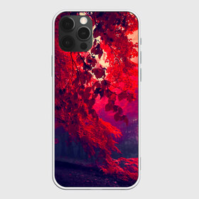 Чехол для iPhone 12 Pro Max с принтом Осень , Силикон |  | autumn | bright | colors | forest | trees | деревья | краски | лес | лучи | осень | солнце | цвета | яркие