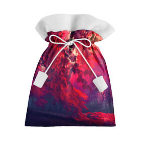 Подарочный 3D мешок с принтом Осень , 100% полиэстер | Размер: 29*39 см | autumn | bright | colors | forest | trees | деревья | краски | лес | лучи | осень | солнце | цвета | яркие