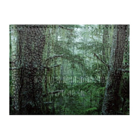 Обложка для студенческого билета с принтом Дремучий лес , натуральная кожа | Размер: 11*8 см; Печать на всей внешней стороне | camouflage | dense | fog | forest | spruce | tree | дремучий | ёлка | ельник | камуфляж | лес | маскировка | туман